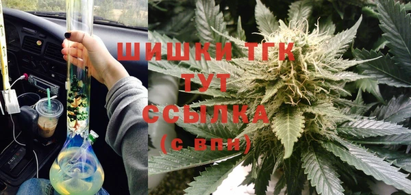 гашик Кодинск