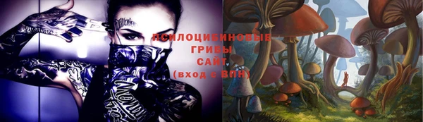 мяу мяу кристалл Корсаков
