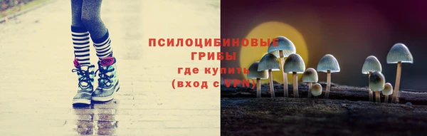 гашик Кодинск