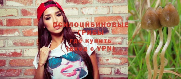 синтетический гашиш Козельск